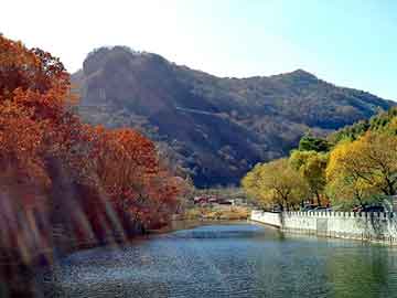 新澳天天开奖资料大全旅游团，芭奇站群